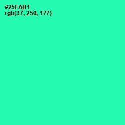 #25FAB1 - Shamrock Color Image