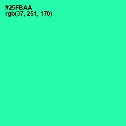 #25FBAA - Shamrock Color Image