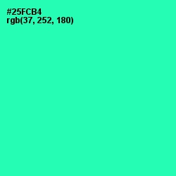 #25FCB4 - Shamrock Color Image