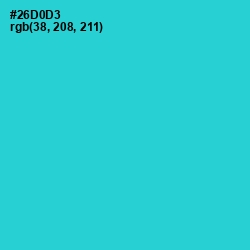 #26D0D3 - Turquoise Color Image