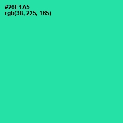 #26E1A5 - Shamrock Color Image