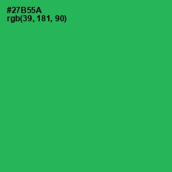 #27B55A - Sea Green Color Image