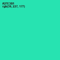 #27E3B1 - Shamrock Color Image