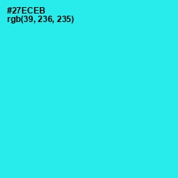 #27ECEB - Bright Turquoise Color Image