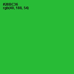 #28BC36 - Forest Green Color Image