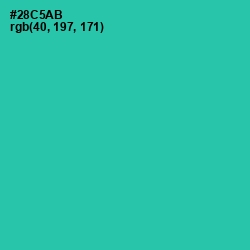 #28C5AB - Puerto Rico Color Image