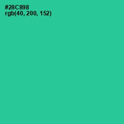 #28C898 - Shamrock Color Image