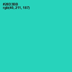 #28D3BB - Puerto Rico Color Image