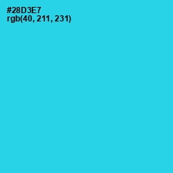 #28D3E7 - Turquoise Color Image