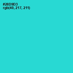 #28D9D3 - Turquoise Color Image