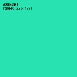 #28E2B1 - Shamrock Color Image