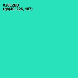 #28E2BB - Shamrock Color Image