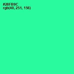 #28FB9C - Shamrock Color Image