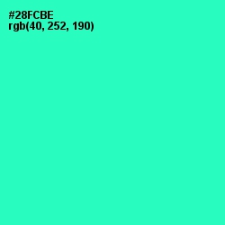 #28FCBE - Shamrock Color Image