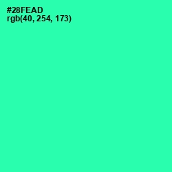 #28FEAD - Shamrock Color Image