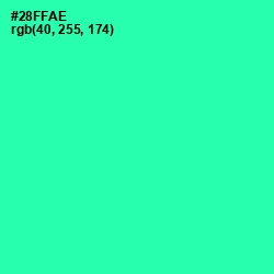 #28FFAE - Shamrock Color Image