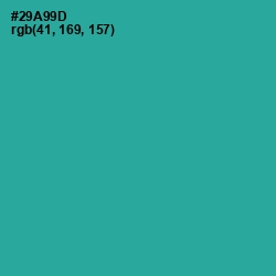 #29A99D - Keppel Color Image