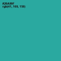 #29A99F - Keppel Color Image