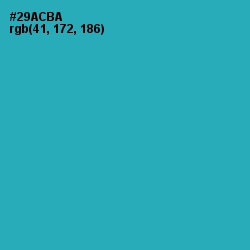 #29ACBA - Pelorous Color Image