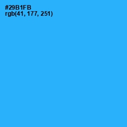 #29B1FB - Dodger Blue Color Image