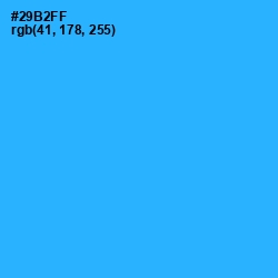#29B2FF - Dodger Blue Color Image