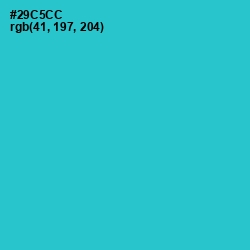 #29C5CC - Turquoise Color Image