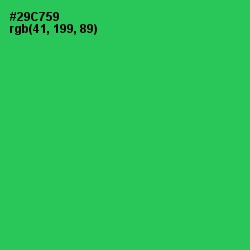 #29C759 - Malachite Color Image