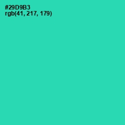 #29D9B3 - Puerto Rico Color Image