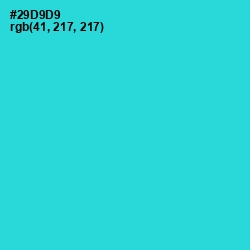 #29D9D9 - Turquoise Color Image