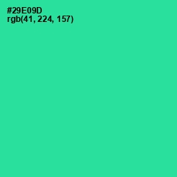 #29E09D - Shamrock Color Image