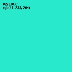 #29E9CC - Turquoise Color Image
