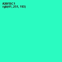 #29FBC1 - Turquoise Color Image