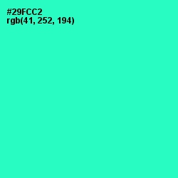 #29FCC2 - Turquoise Color Image