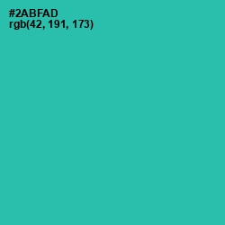 #2ABFAD - Pelorous Color Image