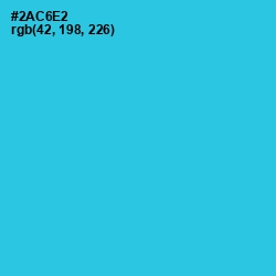 #2AC6E2 - Turquoise Color Image