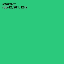 #2AC97C - Malachite Color Image
