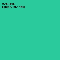#2ACA9C - Shamrock Color Image