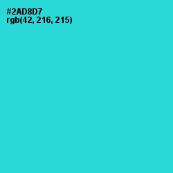 #2AD8D7 - Turquoise Color Image