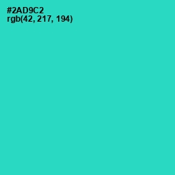 #2AD9C2 - Turquoise Color Image