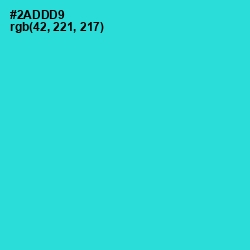 #2ADDD9 - Turquoise Color Image