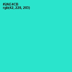 #2AE4CB - Turquoise Color Image