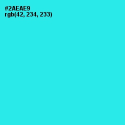 #2AEAE9 - Bright Turquoise Color Image