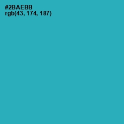 #2BAEBB - Pelorous Color Image