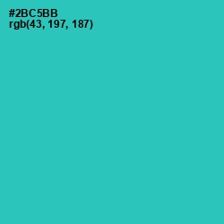 #2BC5BB - Puerto Rico Color Image