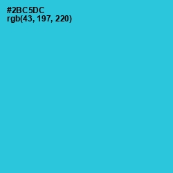 #2BC5DC - Turquoise Color Image