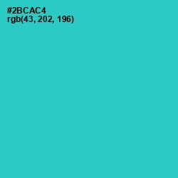 #2BCAC4 - Turquoise Color Image