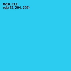 #2BCCEF - Turquoise Color Image