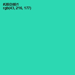 #2BD8B1 - Puerto Rico Color Image