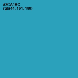 #2CA1BC - Pelorous Color Image