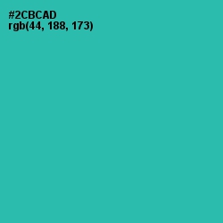 #2CBCAD - Pelorous Color Image